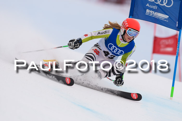 Bayerische Schülermeisterschaft Alpin Riesenslalom 27.01.2018