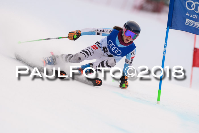 Bayerische Schülermeisterschaft Alpin Riesenslalom 27.01.2018