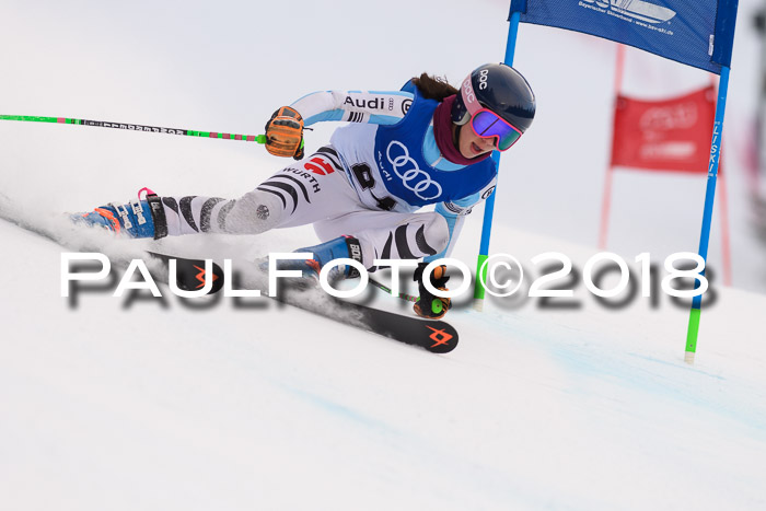 Bayerische Schülermeisterschaft Alpin Riesenslalom 27.01.2018