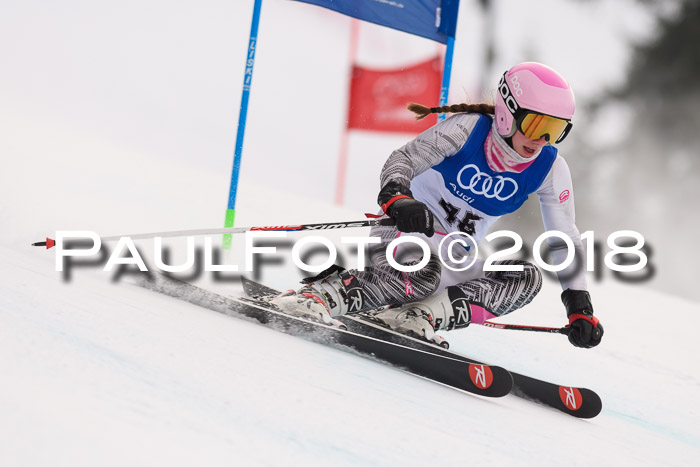 Bayerische Schülermeisterschaft Alpin Riesenslalom 27.01.2018