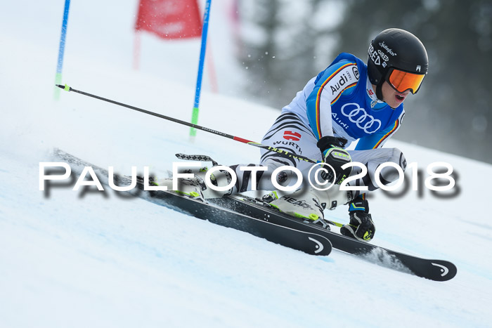 Bayerische Schülermeisterschaft Alpin Riesenslalom 27.01.2018