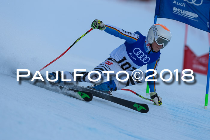 Bayerische Schülermeisterschaft Alpin Riesenslalom 27.01.2018