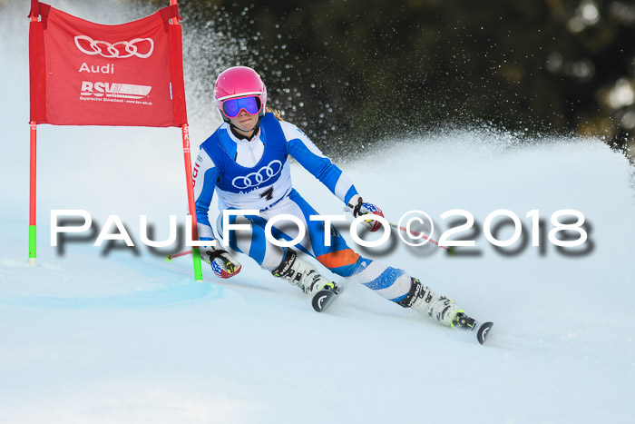 Bayerische Schülermeisterschaft Alpin Riesenslalom 27.01.2018