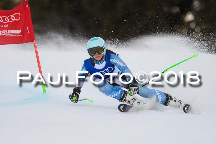 Bayerische Schülermeisterschaft Alpin Riesenslalom 27.01.2018