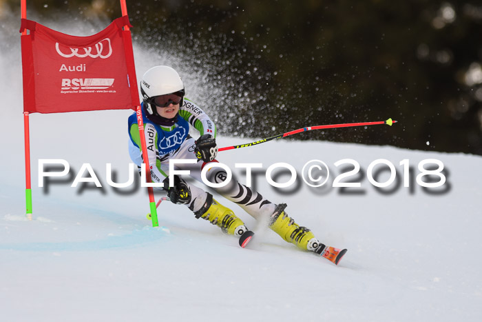Bayerische Schülermeisterschaft Alpin Riesenslalom 27.01.2018