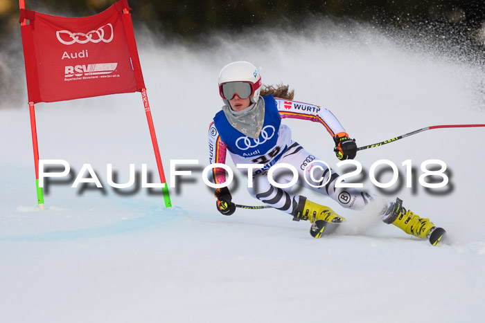 Bayerische Schülermeisterschaft Alpin Riesenslalom 27.01.2018