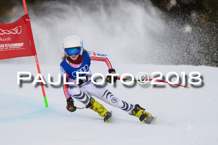 Bayerische Schülermeisterschaft Alpin Riesenslalom 27.01.2018