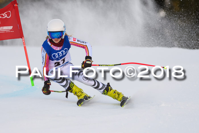 Bayerische Schülermeisterschaft Alpin Riesenslalom 27.01.2018