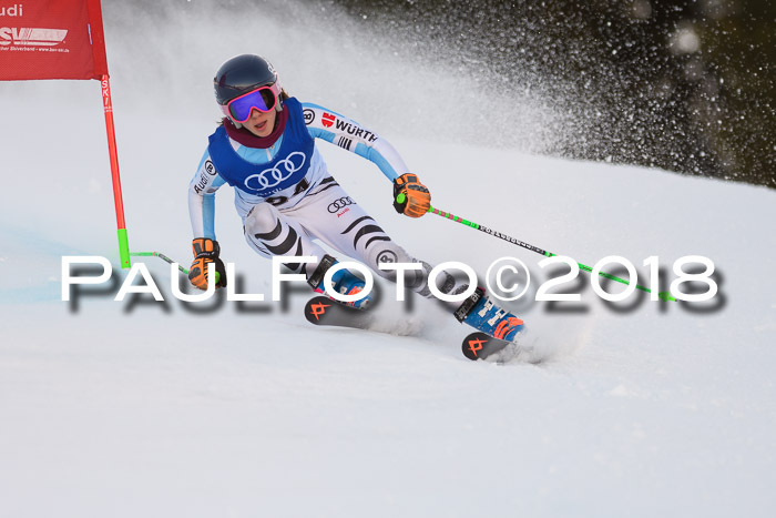 Bayerische Schülermeisterschaft Alpin Riesenslalom 27.01.2018