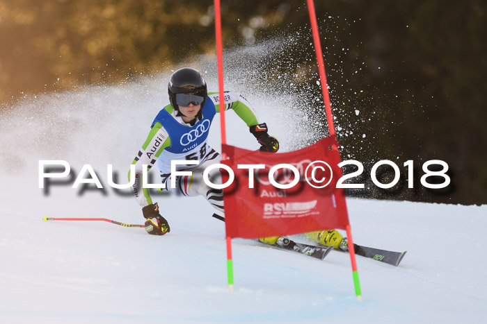 Bayerische Schülermeisterschaft Alpin Riesenslalom 27.01.2018