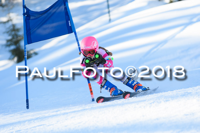 BSV U12 Kids Cross Cup 1 Region 3