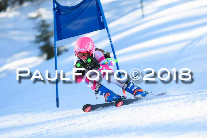 BSV U12 Kids Cross Cup 1 Region 3