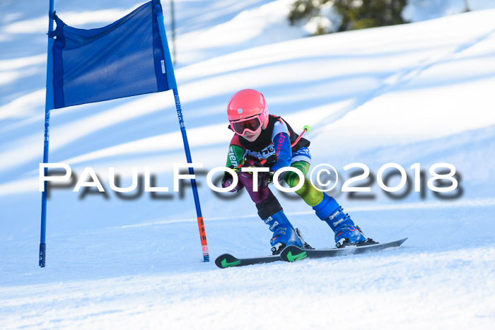 BSV U12 Kids Cross Cup 1 Region 3