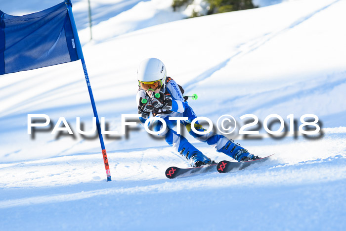 BSV U12 Kids Cross Cup 1 Region 3