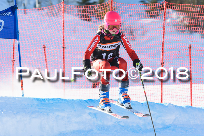BSV U12 Kids Cross Cup 1 Region 3