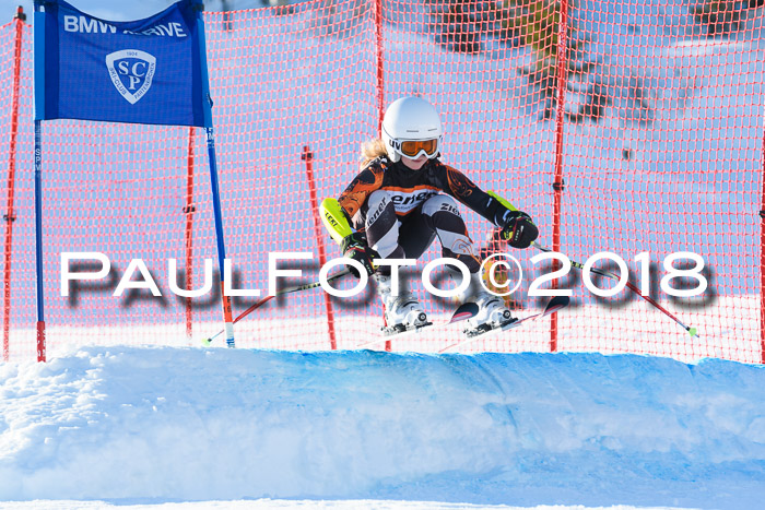 BSV U12 Kids Cross Cup 1 Region 3