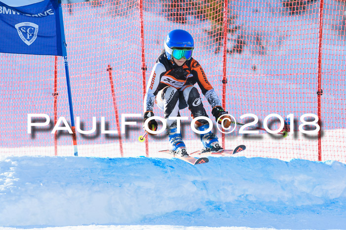 BSV U12 Kids Cross Cup 1 Region 3