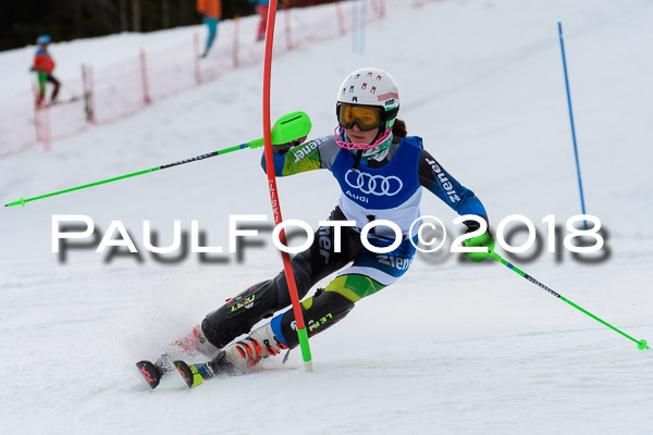 Bayerische Schülermeisterschaft Slalom 28.01.2018