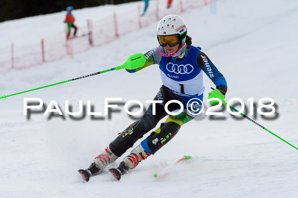 Bayerische Schülermeisterschaft Slalom 28.01.2018