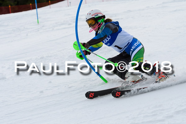 Bayerische Schülermeisterschaft Slalom 28.01.2018