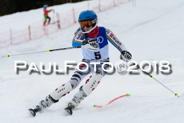 Bayerische Schülermeisterschaft Slalom 28.01.2018