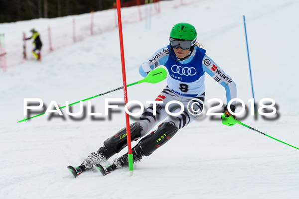 Bayerische Schülermeisterschaft Slalom 28.01.2018