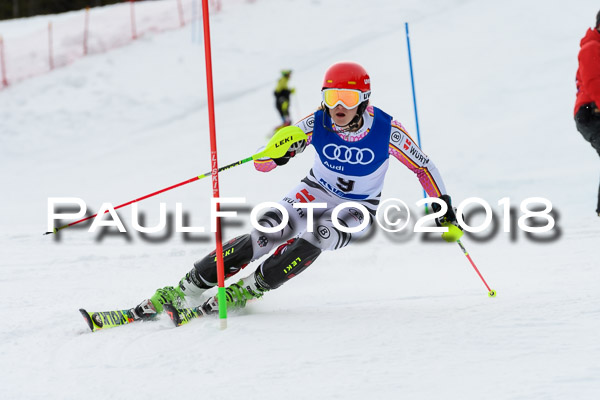 Bayerische Schülermeisterschaft Slalom 28.01.2018