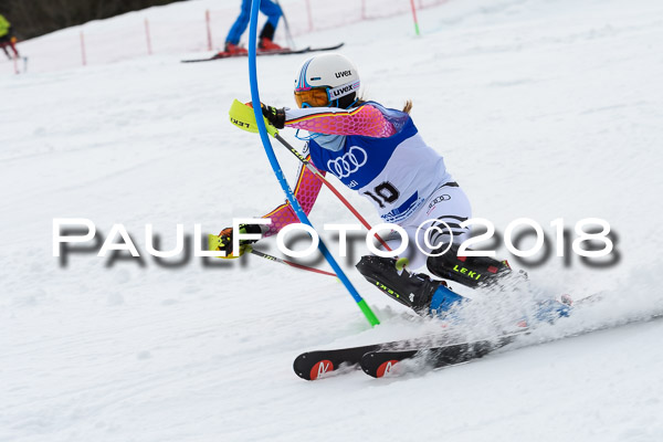 Bayerische Schülermeisterschaft Slalom 28.01.2018
