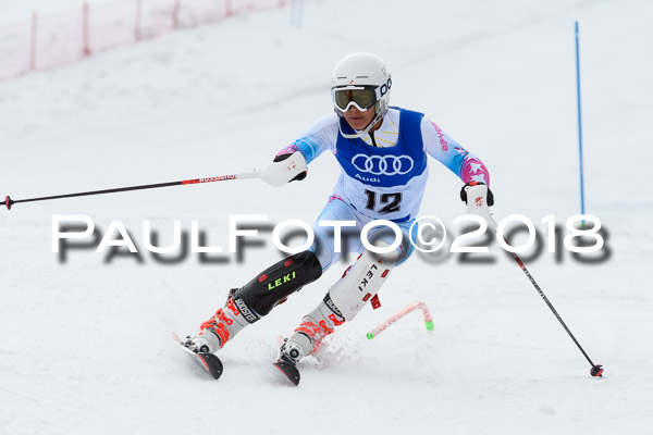 Bayerische Schülermeisterschaft Slalom 28.01.2018