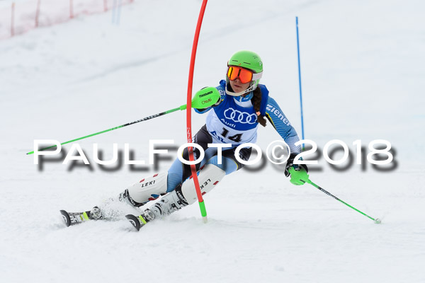 Bayerische Schülermeisterschaft Slalom 28.01.2018