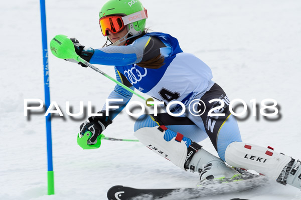 Bayerische Schülermeisterschaft Slalom 28.01.2018