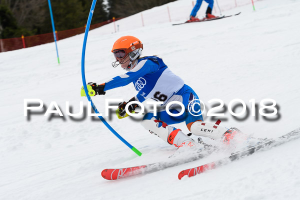 Bayerische Schülermeisterschaft Slalom 28.01.2018