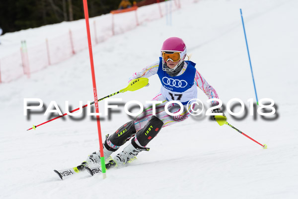 Bayerische Schülermeisterschaft Slalom 28.01.2018