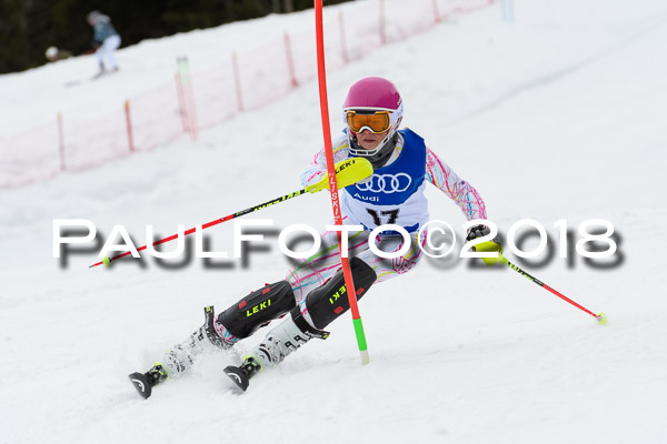 Bayerische Schülermeisterschaft Slalom 28.01.2018