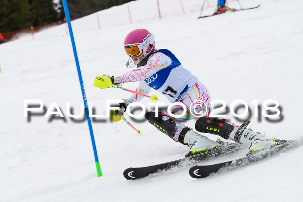 Bayerische Schülermeisterschaft Slalom 28.01.2018