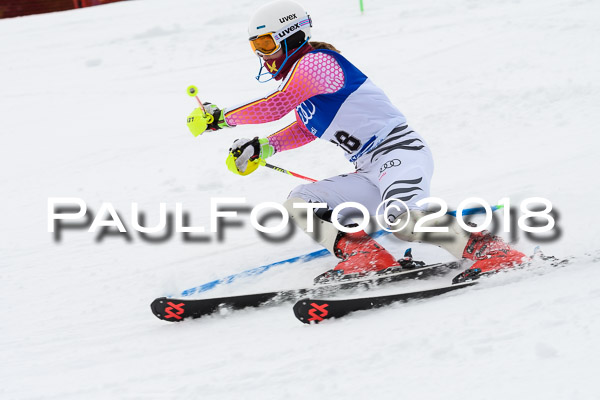 Bayerische Schülermeisterschaft Slalom 28.01.2018