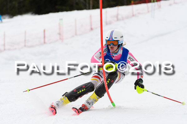 Bayerische Schülermeisterschaft Slalom 28.01.2018