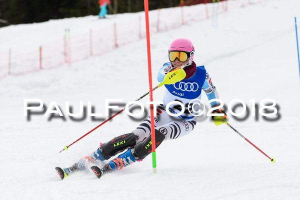 Bayerische Schülermeisterschaft Slalom 28.01.2018