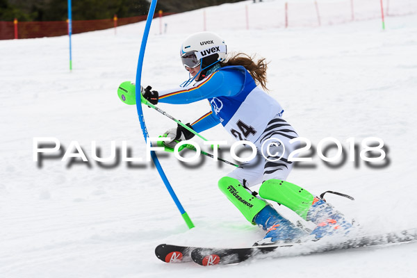 Bayerische Schülermeisterschaft Slalom 28.01.2018