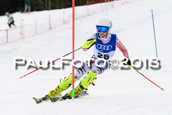 Bayerische Schülermeisterschaft Slalom 28.01.2018
