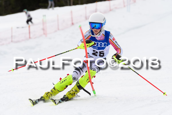 Bayerische Schülermeisterschaft Slalom 28.01.2018