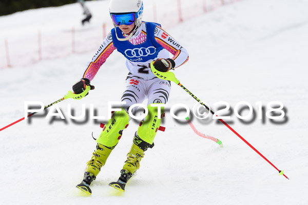 Bayerische Schülermeisterschaft Slalom 28.01.2018