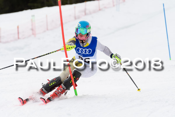 Bayerische Schülermeisterschaft Slalom 28.01.2018
