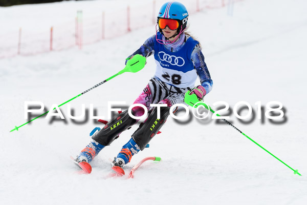 Bayerische Schülermeisterschaft Slalom 28.01.2018