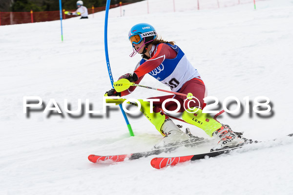 Bayerische Schülermeisterschaft Slalom 28.01.2018