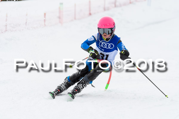 Bayerische Schülermeisterschaft Slalom 28.01.2018