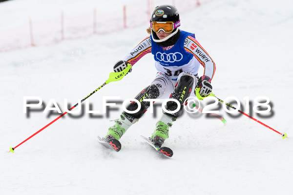 Bayerische Schülermeisterschaft Slalom 28.01.2018
