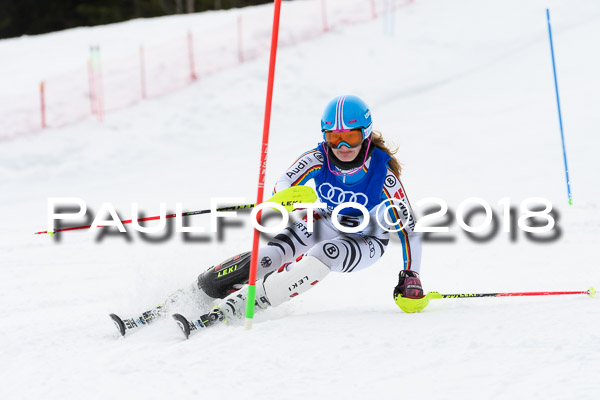 Bayerische Schülermeisterschaft Slalom 28.01.2018