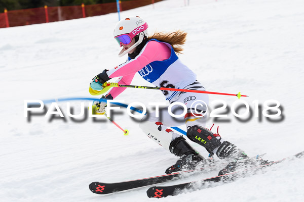 Bayerische Schülermeisterschaft Slalom 28.01.2018