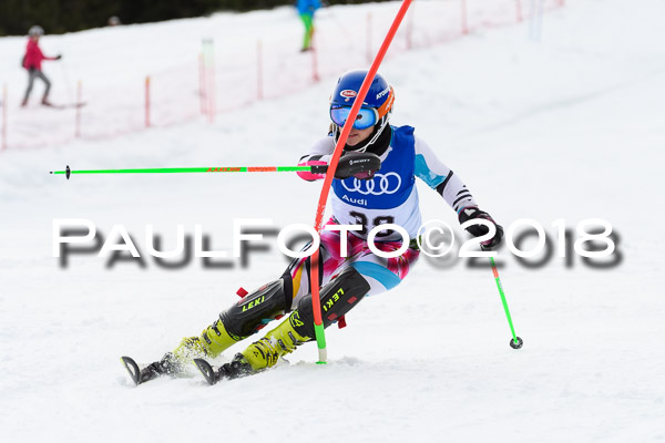 Bayerische Schülermeisterschaft Slalom 28.01.2018